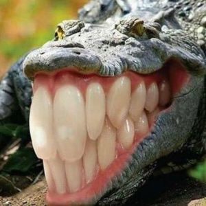 Meet your Posher, Gage